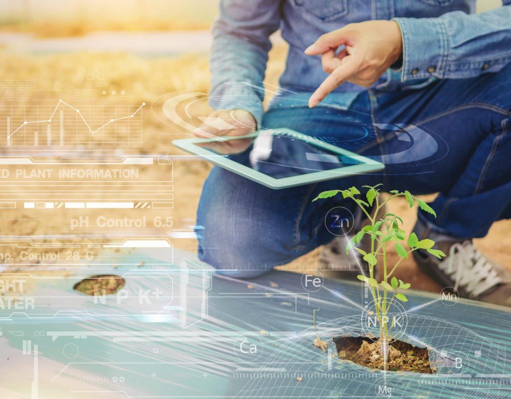 Farmer, farm owner using touch pad for check plant quality in the greenhouse. smart farm with visual graphic. Selected focus